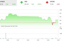 Phiên giao dịch chứng khoán chiều 9/11: VN-Index thoát hiểm, nhà đầu tư bắt đáy DIG lỗ lớn ngay trong phiên