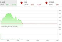 Giao dịch chứng khoán phiên sáng 29/11: PDR được "giải cứu", VN-Index trượt dốc do áp lực chốt lời