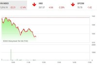 Giao dịch chứng khoán phiên sáng 20/12: Lực cung lấn át, VN-Index tiếp tục giảm sâu