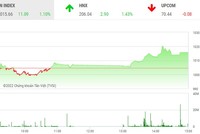 Giao dịch chứng khoán phiên chiều 28/12: Tiền chảy về ngân hàng 