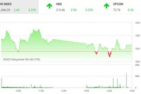 Giao dịch chứng khoán phiên chiều 4/1: Lực bán chốt lời gia tăng, thị trường rung lắc 