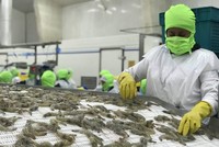 Thương mại Việt Nam-Hàn Quốc tăng thêm gần 9 tỷ USD, đạt gần 87 tỷ USD.