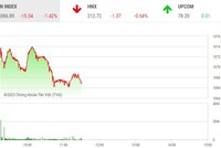 Phiên giao dịch sáng 22/2: Chịu dư chấn, nhà đầu tư trong nước lo thoát thân