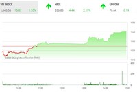 Phiên giao dịch chiều 1/3: DIG được cứu, nhà đầu tư mạnh dạn bắt đáy