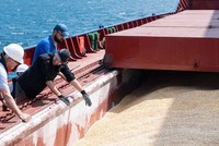 Tổng thống Putin cảnh báo Nga có thể hủy bỏ thỏa thuận xuất khẩu ngũ cốc sau 60 ngày