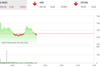 Giao dịch chứng khoán phiên sáng 19/4: AGR nổi sóng, nhóm công ty chứng khoán "manh nha" tăng tốc