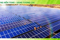 Bamboo Capital (BCG) linh hoạt điều chỉnh chiến lược kinh doanh để giữ vững đà tăng trưởng