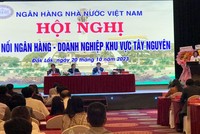 Bà Hà Thu Giang, Vụ trưởng Vụ Tín dụng các ngành kinh tế, NHNN phát biểu tại Hội nghị.