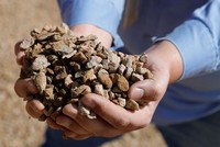 Mỹ: Phát hiện mỏ đất hiếm "đặc biệt" lớn nhất từ trước tới nay