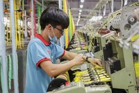 Công ty cổ phần Thuận Đức (TDP) thông báo chào bán cổ phiếu ra công chúng