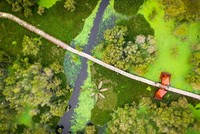 Ảnh minh hoạ. (Nguồn: Internet)