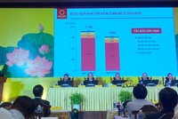 ĐHĐCĐ Hoa Sen (HSG): Ông Lê Phước Vũ lùi thời điểm xuất gia, sẽ giao điều hành cho con gái út sinh năm 2001 sau khi nghỉ