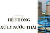 Kiến nghị xử phạt Tập đoàn Thái Tuấn vì vi phạm quy định bảo vệ môi trường