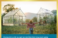 BAC A BANK: Ưu đãi lãi suất cho doanh nghiệp vay ngắn hạn