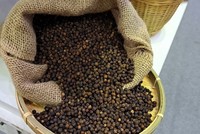 Doanh nghiệp có hiện tượng mất hàng hóa xuất khẩu cần cung cấp thông tin để có hướng giải quyết.