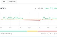 Thiếu động lực dẫn dắt, VN-Index chỉ có phiên hồi phục nhẹ