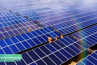 Mảng năng lượng tái tạo tiếp tục là điểm sáng và là trụ cột doanh thu của BCG trong quý II/2024