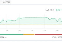 Phiên giao dịch chiều 31/7: Rung lắc mạnh, VN-Index vẫn đứng vững 