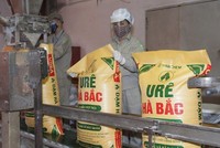 Tiếp tục cân nhắc lợi - hại việc áp thuế VAT với phân bón