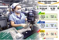 Đã xuất hiện thêm dự án mới của nhà đầu tư mới đến từ Burkina Faso và Tunisia trong danh sách vốn đầu tư nước ngoài đăng ký vào Việt Nam trong tháng 8/2024. Ảnh: Đức Thanh. Đồ họa: Đan Nguyễn