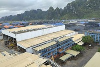 Dự đoán xu hướng tái tục các hợp đồng tái bảo hiểm năm 2024