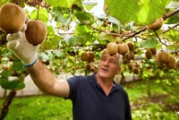 Bền vững trở thành một phần cốt lõi trong chiến lược xuất khẩu và kinh nghiệm từ New Zealand