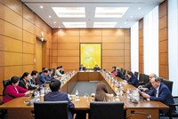 Phiên thảo luận tổ 8 về Đề án bổ sung về phát triển kinh tế - xã hội năm 2025 với mục tiêu tăng trưởng đạt 8% trở lên