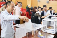 Đất đấu giá huyện Quốc Oai tiếp tục lập đỉnh mới, giá trúng gần 120 triệu đồng/m2 