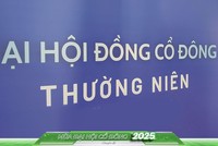 Mùa đại hội nhiều “phấp phỏng”