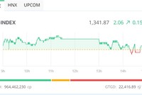 Phiên giao dịch chiều 28/5: Nhóm Vingroup giữ nhịp thị trường 