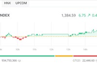Sóng ngành xuất hiện, VN-Index vượt mốc 1.380 điểm 