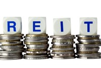 Ảnh: Shutterstock.