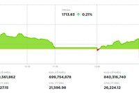 Rung lắc mạnh cuối phiên, VN-Index vẫn giữ được sức xanh 