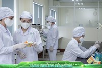 Cổ đông ngoại “trúng đậm” tại doanh nghiệp Việt 