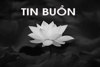 TIN BUỒN