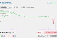 Phiên giao dịch chiều 9/9: Rung lắc mạnh, VN-Index giữ được vùng 1.820 điểm