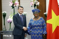 Thủ tướng Chính phủ Lê Minh Hưng tiếp bà Ngozi Okonjo-Iweala, Tổng Giám đốc Tổ chức Thương mại Thế giới (WTO). (Ảnh: Dương Giang/TTXVN)