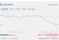 Nhóm Vingroup gây sức ép, VN-Index vẫn giữ được mốc 1.800 điểm