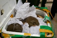 Tang vật bị thu giữ