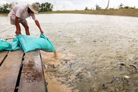 Các doanh nghiệp đã phải “lại quả” cho các bị can số tiền từ 5-25 triệu đồng/sản phẩm (ảnh minh họa)