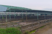 20/7, xét xử 12 bị cáo trong vụ án ông Trần Bắc Hà