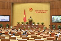 Thổi giá y tế, có phải sân sau của một vài người? 