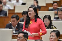 Đại biểu Nguyễn Thị Thủy phát biểu tại hội trường.