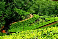 GTNfoods đẩy mạnh thoái vốn công ty ngoài ngành “lõi”