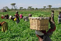 8 nghìn tỷ USD kích thích kinh tế toàn cầu, nước kém phát triển chỉ chiếm... số lẻ