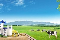 Vinamilk (VNM): Lợi nhuận đi ngang trong quý I/2020