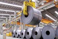 Tập đoàn Đầu tư Hoa Sen đăng ký bán 15 triệu cổ phiếu HSG