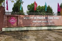 Năm 2020, May Sông Hồng (MSH) đặt kế hoạch lợi nhuận trước thuế 250 tỷ đồng, giảm lên tới 54%