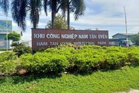 6 tháng, Khu Công nghiệp Nam Tân Uyên (NTC) hoàn thành 79,8% kế hoạch lợi nhuận năm
