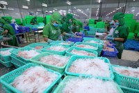 Đầu tư và Phát triển Đa Quốc gia (IDI): Ngấm đòn do Covid-19, lợi nhuận 6 tháng giảm 82,1%